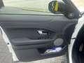 Land Rover Range Rover Evoque Range Rover Evoque TD4 Aut. HSE/4x4/Full History Wit - thumbnail 11