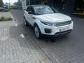 Land Rover Range Rover Evoque Range Rover Evoque TD4 Aut. HSE/4x4/Full History Wit - thumbnail 6