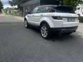 Land Rover Range Rover Evoque Range Rover Evoque TD4 Aut. HSE/4x4/Full History Wit - thumbnail 7