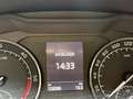 Skoda Superb Ambition*DSG*BI-XENON*NAVI*SITZHZG* Beige - thumbnail 19
