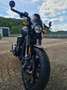 Harley-Davidson Street Rod Gris - thumbnail 2