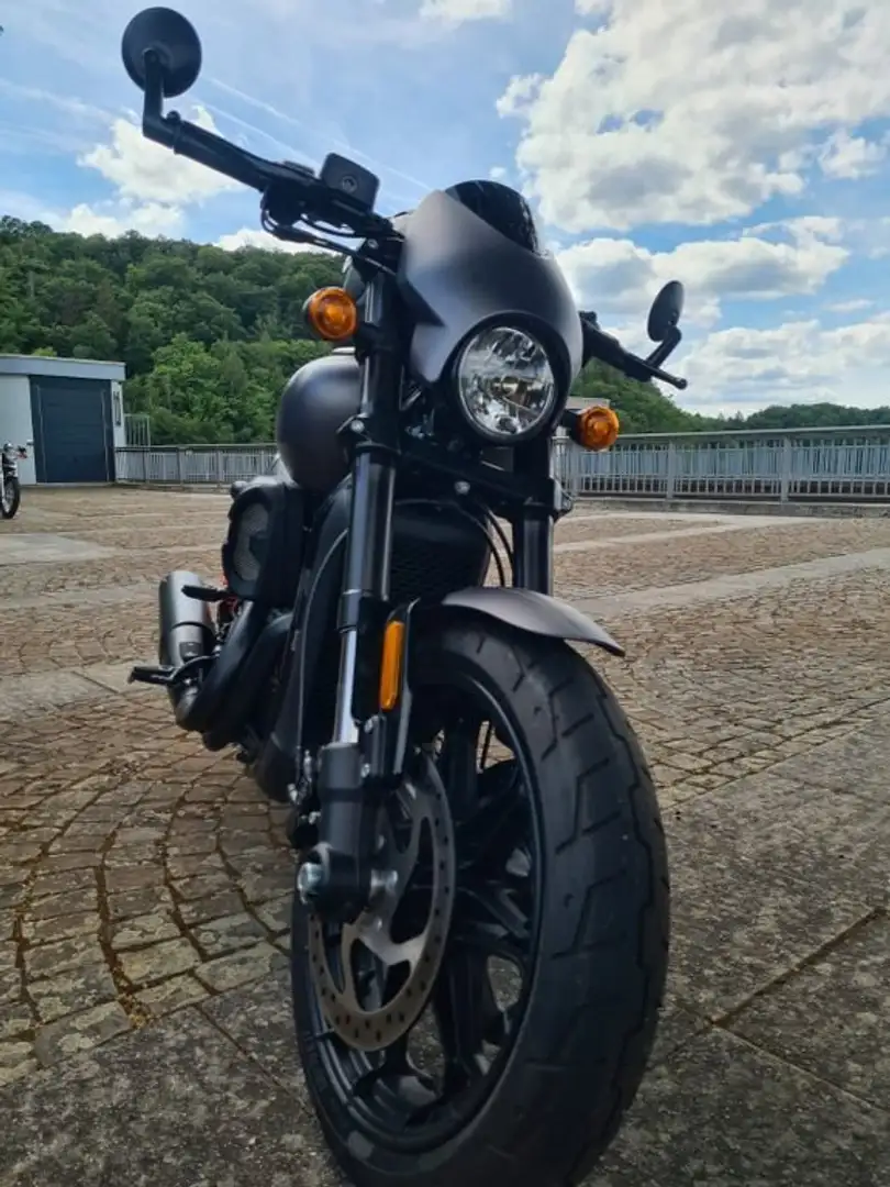 Harley-Davidson Street Rod Grey - 2