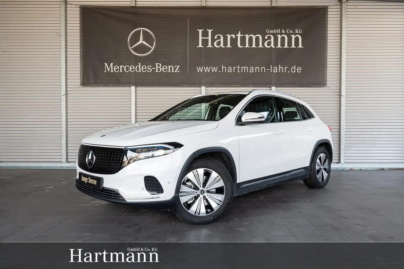 Mercedes-Benz EQA 300 EQA 300 4MATIC Progressive Advanced Totwinkel LED Blanc - 1
