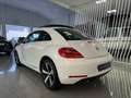 Volkswagen Beetle 2.0 TDI 140cv Sport Blanco - thumbnail 3