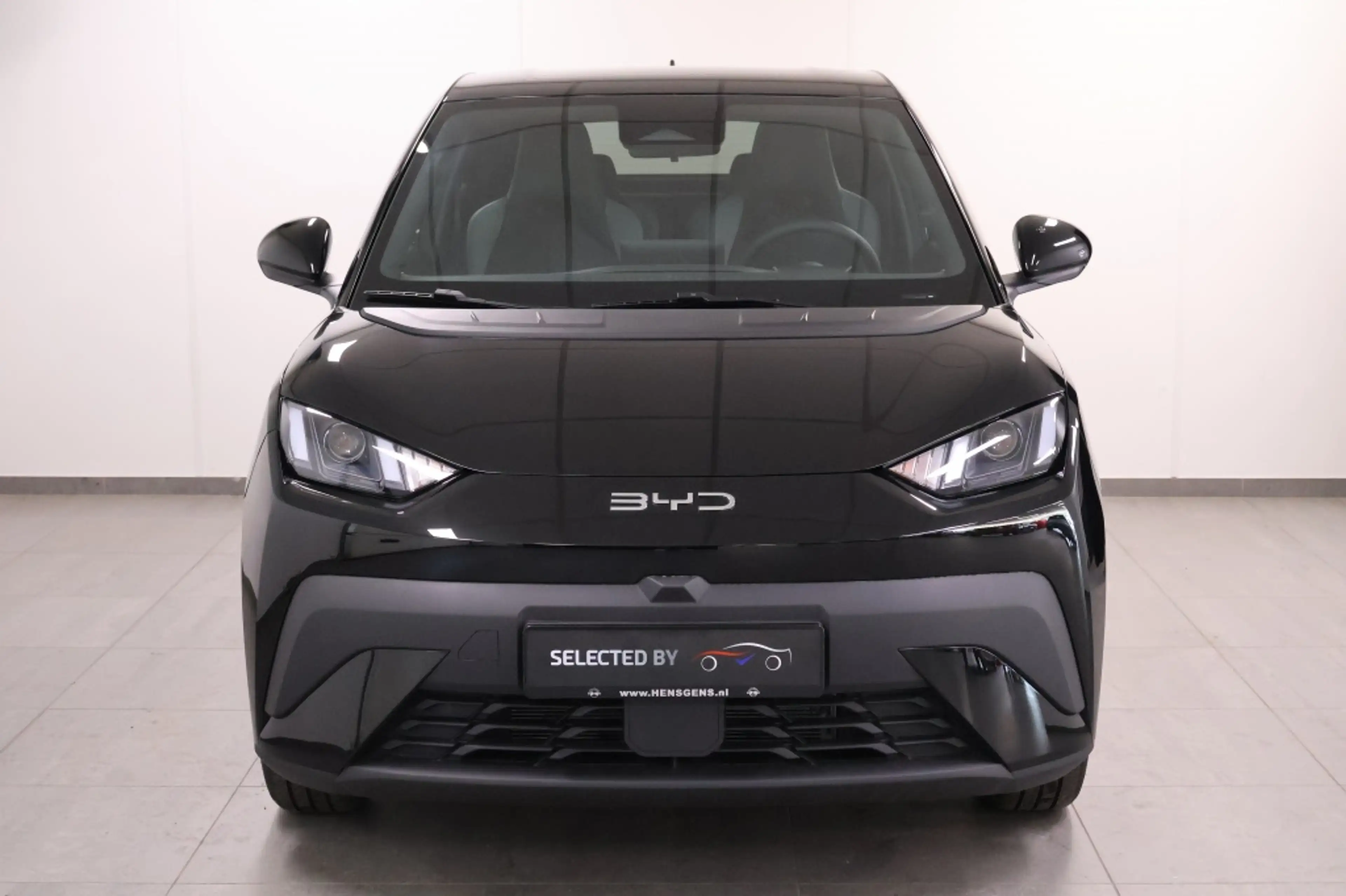 BYD Dolphin Surf Boost 43 kWh — photo 2