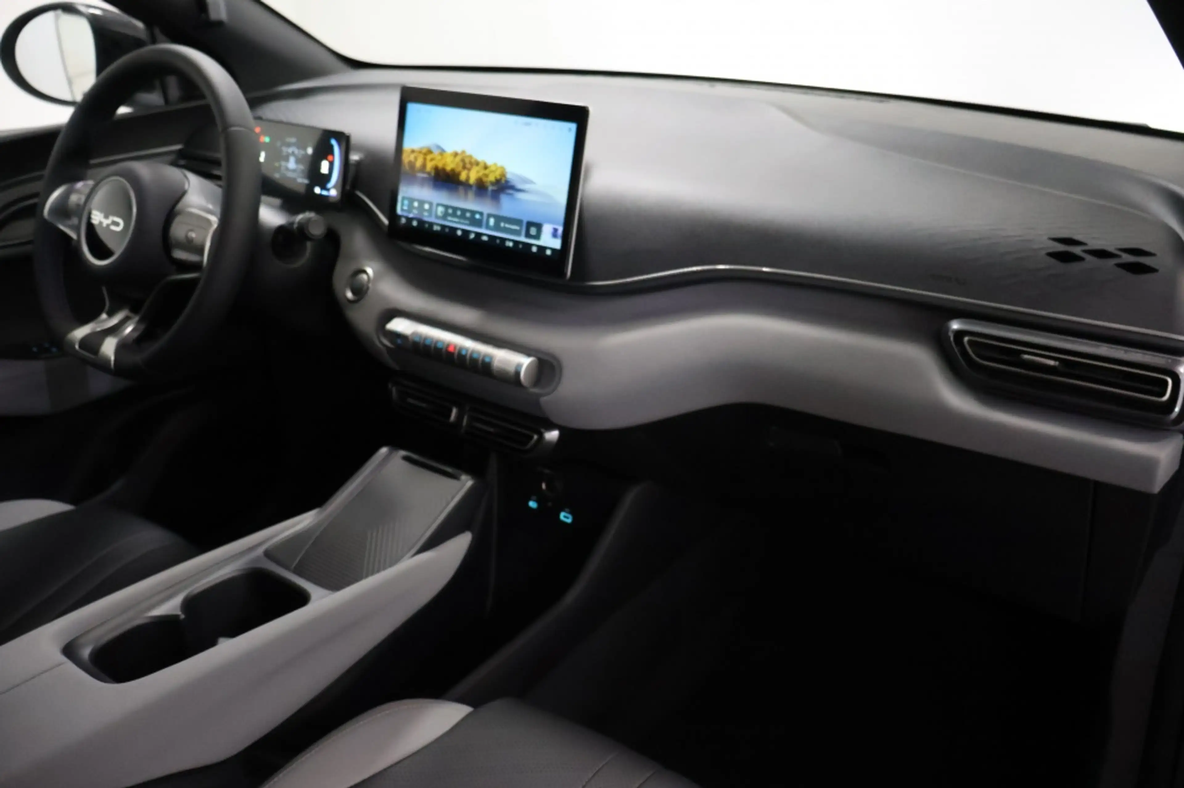 BYD Dolphin Surf Boost 43 kWh — photo 12