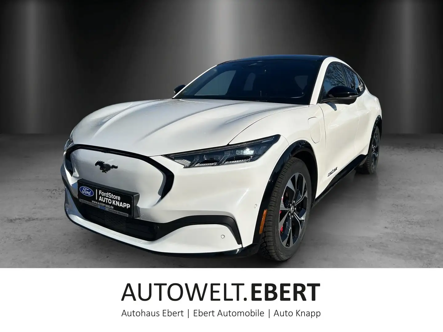 Ford Mustang Mach-E Mustang MACH-E AWD Extended Range/ACC/PANO-D/CAM Bleu - 1