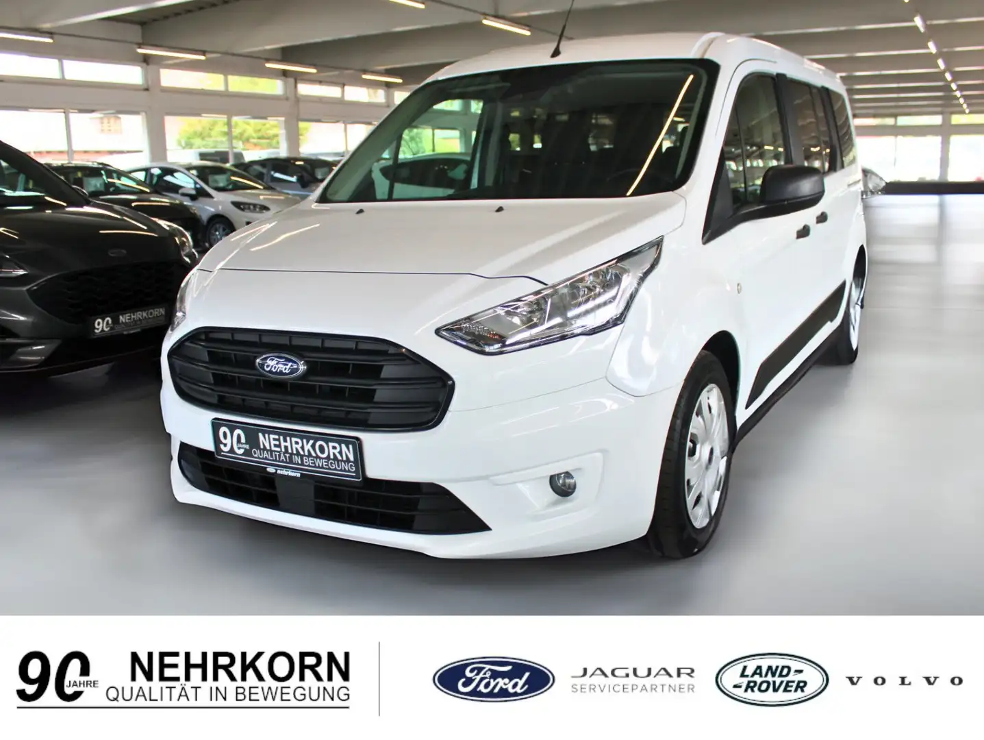 Ford Transit Connect AMF Bruns Rollstuhlrampe Heckausschnitt 1.Hand Wit - 1