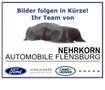 Ford Transit Connect AMF Bruns Rollstuhlrampe Heckausschnitt 1.Hand Weiß - thumbnail 1
