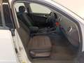 Audi A3 1.6 TDI Attraction ab € 180 / Monat Weiß - thumbnail 9