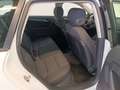 Audi A3 1.6 TDI Attraction ab € 180 / Monat Weiß - thumbnail 10