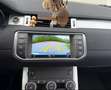 Land Rover Range Rover Evoque Range Rover Evoque Pure 2,0 TD4 Aut. Pure Grün - thumbnail 9