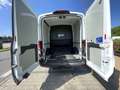 Ford Transit Ford Transit L2H2 Doka Webasto Motor überholt TÜV neu Weiß - thumbnail 5