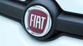 Fiat Panda 4x4 by ORTNER 4X4 3 Jahre Garantie Weiß - thumbnail 26