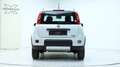 Fiat Panda 4x4 by ORTNER 4X4 3 Jahre Garantie Weiß - thumbnail 5