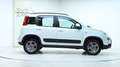 Fiat Panda 4x4 by ORTNER 4X4 3 Jahre Garantie Weiß - thumbnail 8