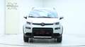 Fiat Panda 4x4 by ORTNER 4X4 3 Jahre Garantie Weiß - thumbnail 10