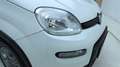 Fiat Panda 4x4 by ORTNER 4X4 3 Jahre Garantie Weiß - thumbnail 25