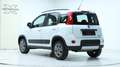 Fiat Panda 4x4 by ORTNER 4X4 3 Jahre Garantie Weiß - thumbnail 4