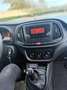 Fiat Doblo Doblò 1.3 mjt cargo max iva esposta Nero - thumbnail 13
