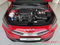 Kia XCeed Vision Automatik 1.5T Komfort-Paket Rouge - thumbnail 13