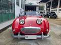 Austin-Healey Sprite Sprite MKI Frogeye - SUMMER PRICE Rot - thumbnail 5