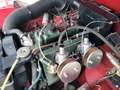 Austin-Healey Sprite Sprite MKI Frogeye - SUMMER PRICE Rot - thumbnail 15