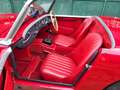 Austin-Healey Sprite Sprite MKI Frogeye - SUMMER PRICE Rot - thumbnail 12