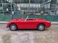Austin-Healey Sprite Sprite MKI Frogeye - SUMMER PRICE Rot - thumbnail 3