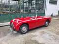 Austin-Healey Sprite Sprite MKI Frogeye - SUMMER PRICE Rot - thumbnail 4