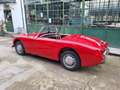 Austin-Healey Sprite Sprite MKI Frogeye - SUMMER PRICE Rot - thumbnail 9