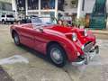Austin-Healey Sprite Sprite MKI Frogeye - SUMMER PRICE Rot - thumbnail 6