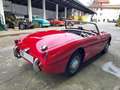 Austin-Healey Sprite Sprite MKI Frogeye - SUMMER PRICE Rot - thumbnail 7
