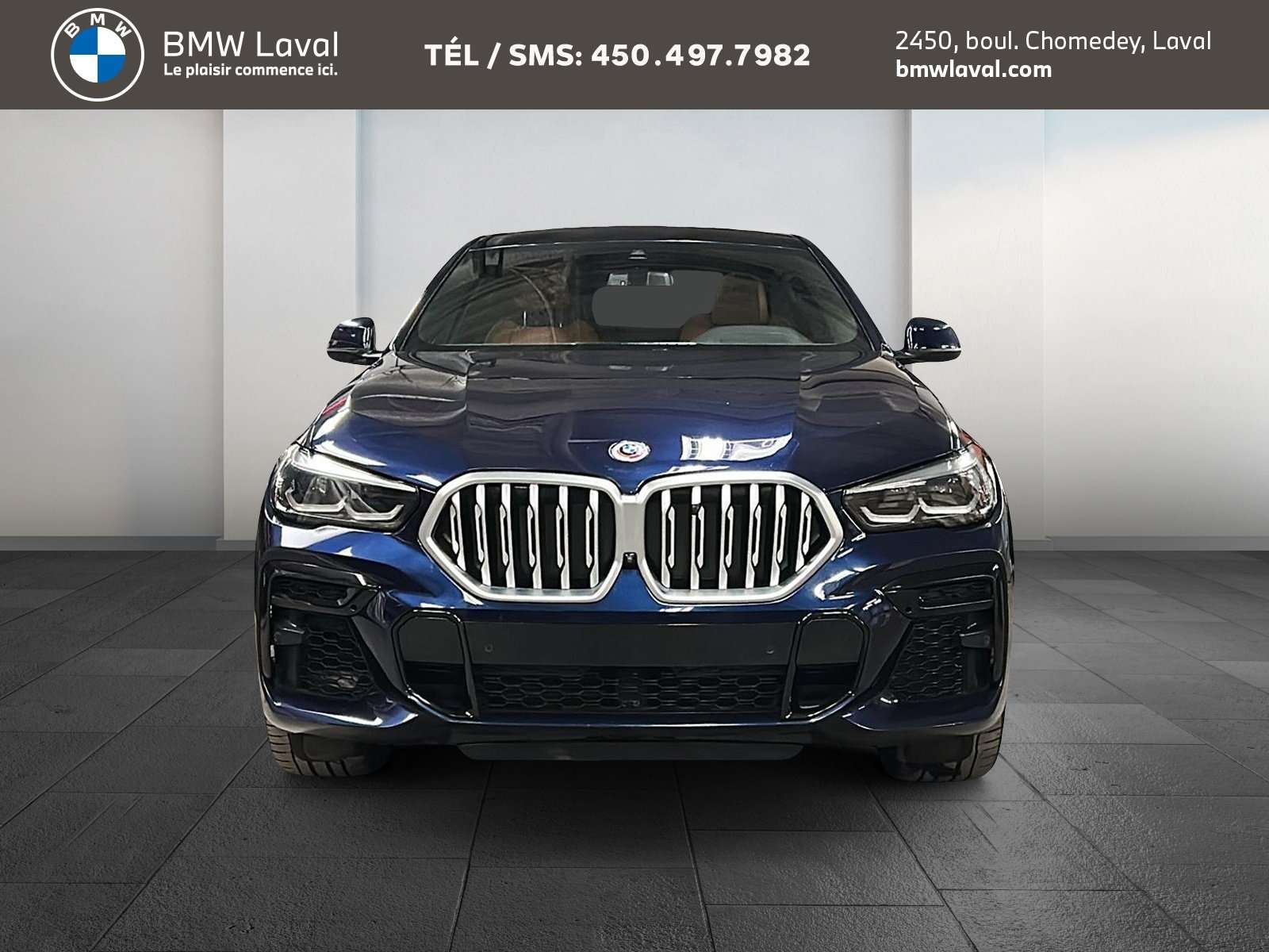 2023 BMW X6