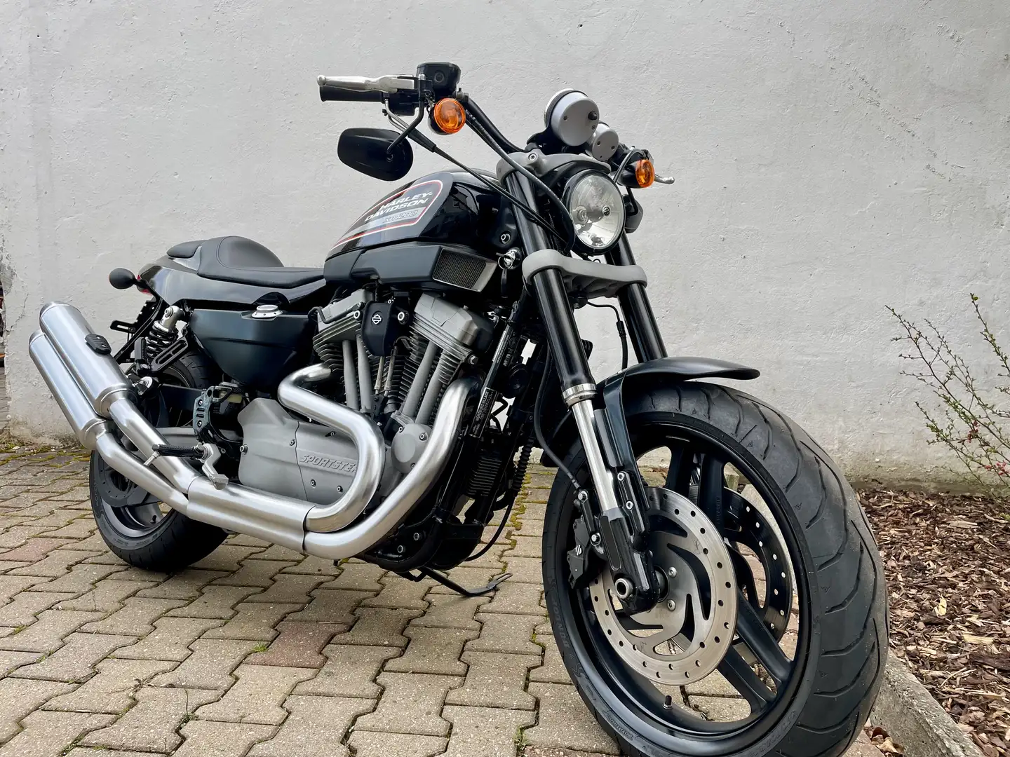 Harley-Davidson XR 1200 Sportster 1200 - 1