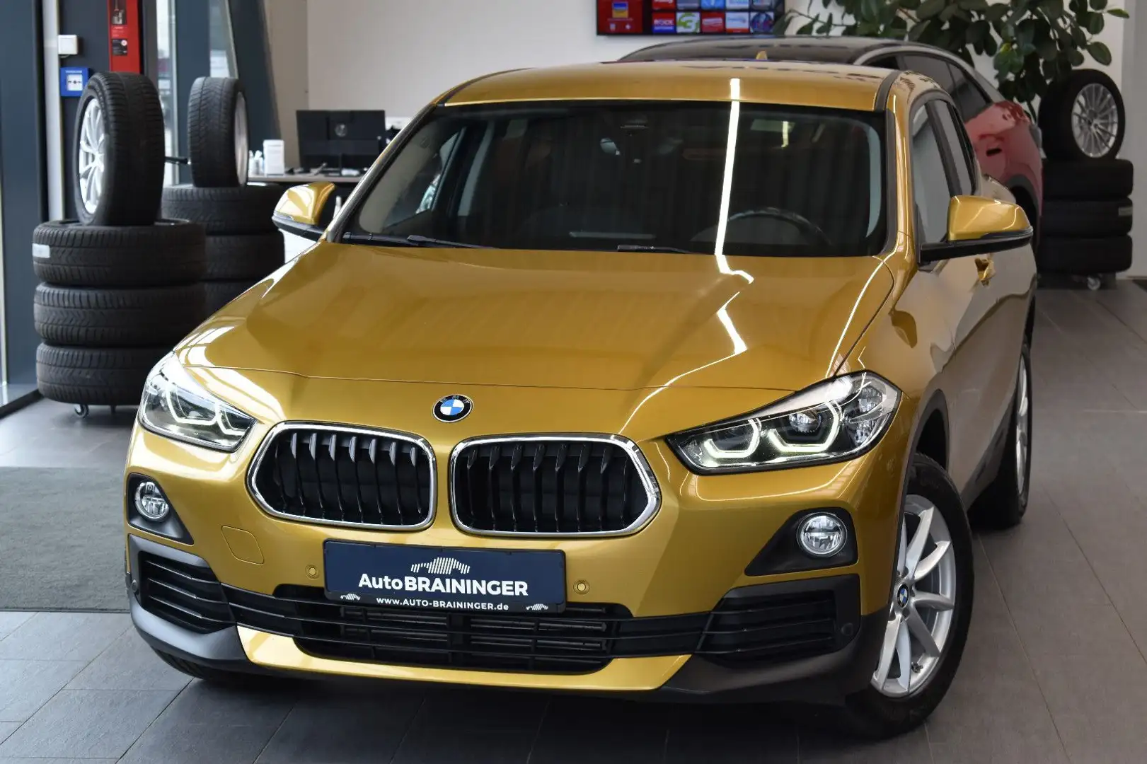 BMW X2 20d xDrive Advantage Aut. LED~Navi3D~Memory Oro - 1