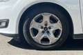 Ford C-Max C-Max 1.5 TDCi 120CV Start&Stop Titanium X Blanco - thumbnail 15