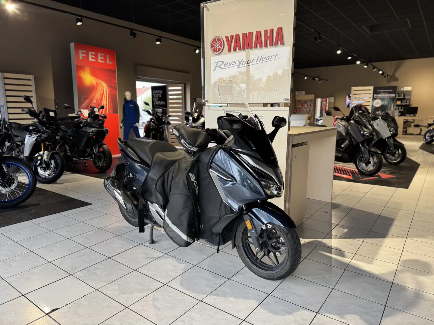 Honda Forza 300 Bleu - 2