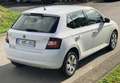Skoda Fabia Fabia 1.0i Ambition 1ER MAIN! CARNET SKODA Blanc - thumbnail 4