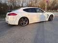 Porsche Panamera 3,0 Diesel Aut. Weiß - thumbnail 10