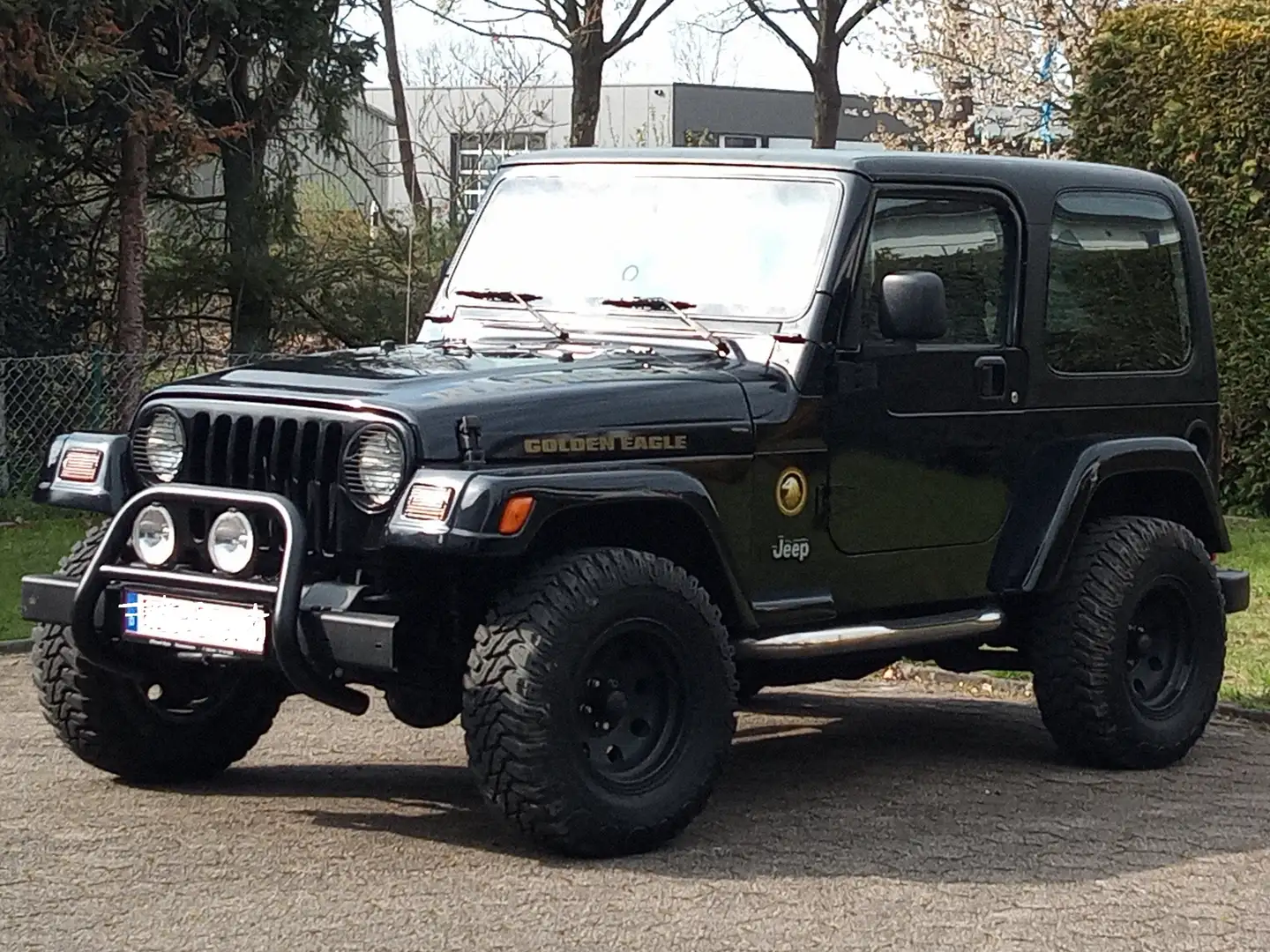 Jeep Wrangler TJ Golden Eagle Zwart - 2