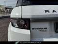 Land Rover Range Rover Evoque 2.2 TD4 5p. Prestige Bianco - thumbnail 8