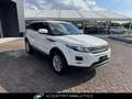 Land Rover Range Rover Evoque 2.2 TD4 5p. Prestige Bianco - thumbnail 3
