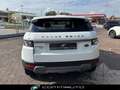 Land Rover Range Rover Evoque 2.2 TD4 5p. Prestige Bianco - thumbnail 5