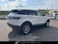 Land Rover Range Rover Evoque 2.2 TD4 5p. Prestige Bianco - thumbnail 4
