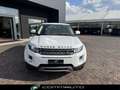 Land Rover Range Rover Evoque 2.2 TD4 5p. Prestige Bianco - thumbnail 2