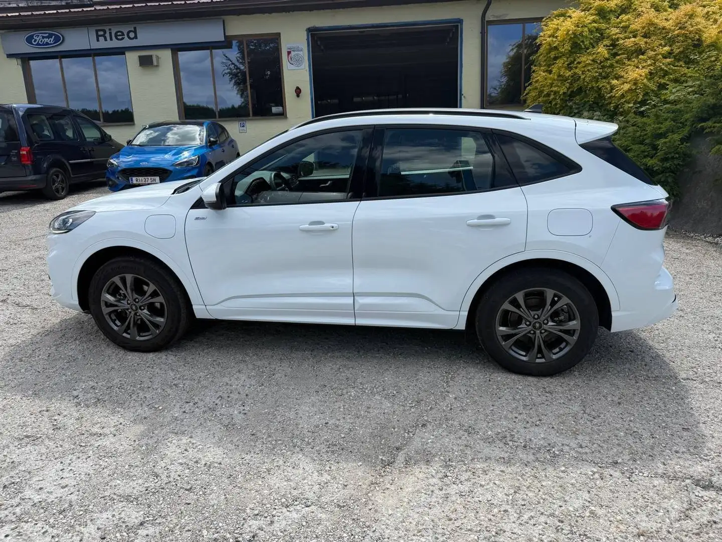 Ford Kuga Plug-In Hybrid ST-Line, Rückfahrkamera Weiß - 2