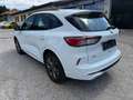 Ford Kuga Plug-In Hybrid ST-Line, Rückfahrkamera Weiß - thumbnail 8