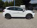 Ford Kuga Plug-In Hybrid ST-Line, Rückfahrkamera Weiß - thumbnail 4
