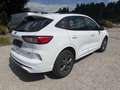 Ford Kuga Plug-In Hybrid ST-Line, Rückfahrkamera Weiß - thumbnail 3